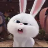_1snowball_