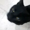 sohoshi_0_