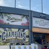 buffaloes_41