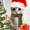 mikyle_claude