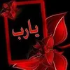user1aevqbnfx5