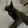 laura.huggywuggy
