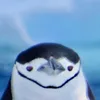 vr._.penguin