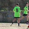 antoali.7