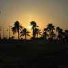 ajyal1993