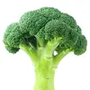 broccoli._69