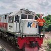 yanzz.railway