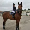 lilly_wilmott