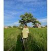 satya_xhaudharii