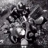 loislev3r