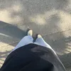 alzfkie