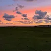 dan_rob01