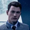 spider_giggle