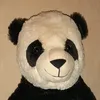 sweet.panda5