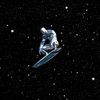 real_silver_surfer