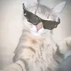 datguy67.n