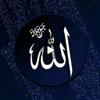 naveed.ali4956