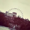 torijayne11