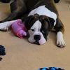 alivia27853