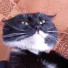myfick7