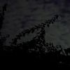 pstking2
