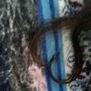 canciones.para.estad0s