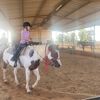 nati_moalem