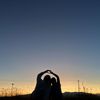 hayleywaldron27