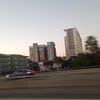 meerkat_209