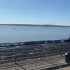 c809271