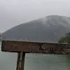 valltin0