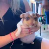 zizziizii