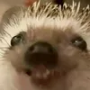 j4jme23