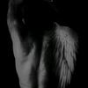 light_darknes.s