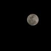 zahid_4754