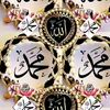 modyb466
