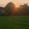 chloesimmmons705