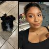 beautyandbarks