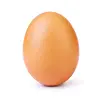 eggyjoe03