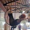 thee_aerialtherapist