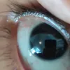 focusalpachino0