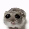 kimi.hit