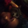 babythisddot