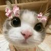 QiilaandThankYou