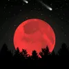 vivid_dreams216