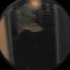 _dennis75