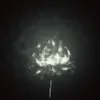 rosierm.0