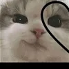 lilianh73