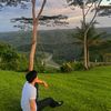 dodo03377