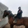 user4930418200406